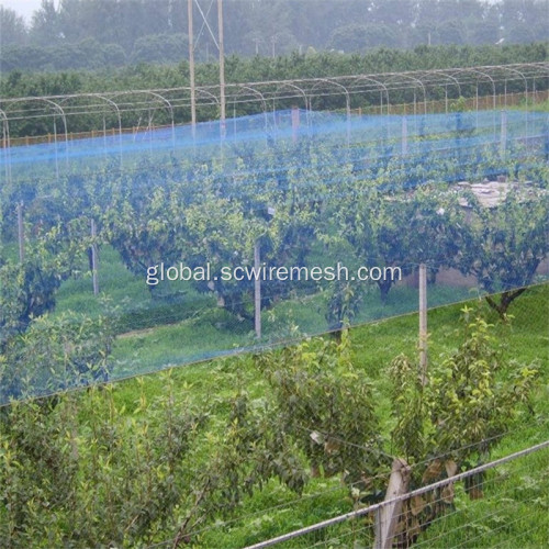 Plastic Bird Netting Easy Install Reusable HDPE Mesh Bird Netting Factory